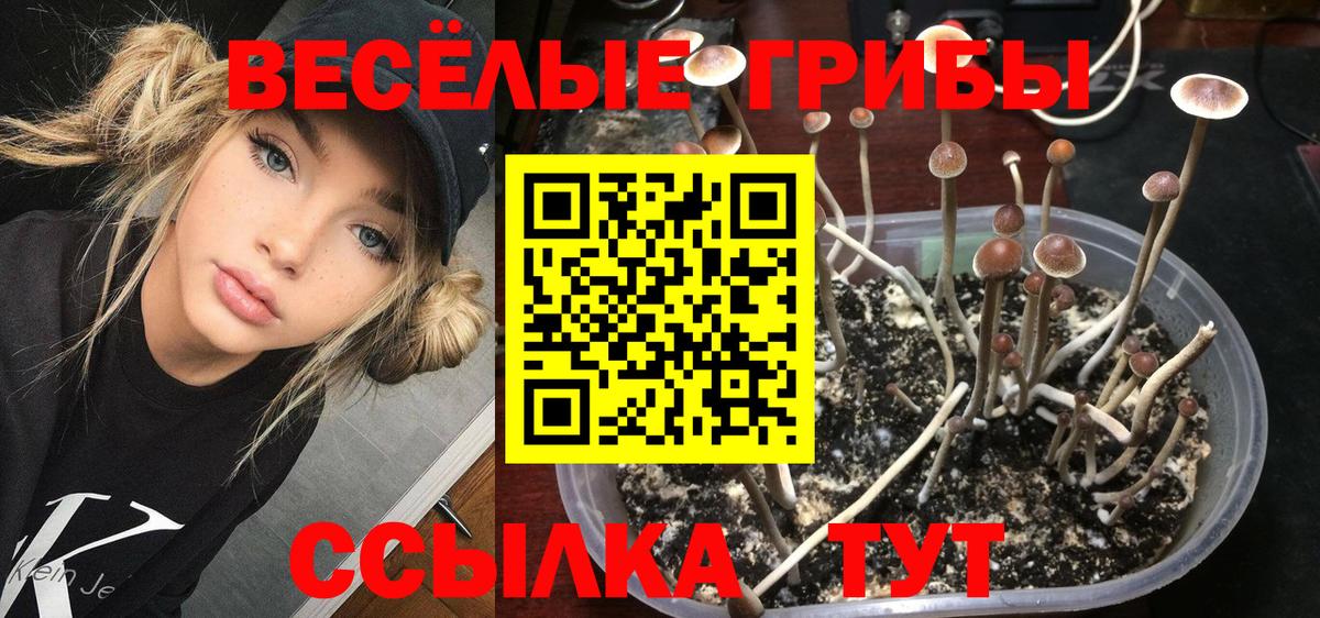 Галлюциногенные грибы мицелий Ханты-Мансийск